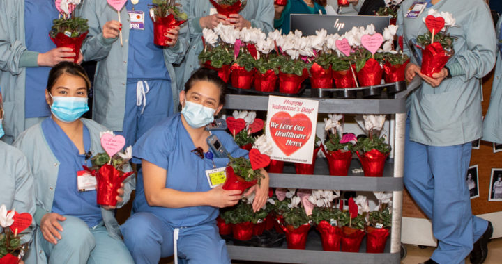 Clayton Valley garden club honors seniors, health-care workers for Valentine’s Day