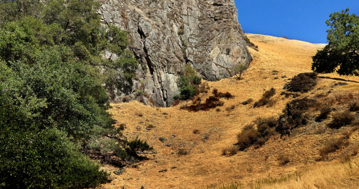 Concord hiker strikes it rich on Mt. Diablo