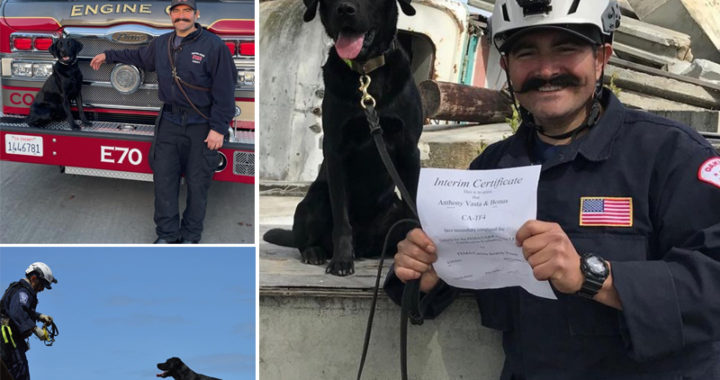 Bonus becomes first Search and Rescue K9 for Contra Costa Fire Protection District