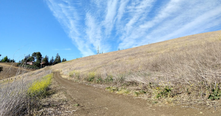 Concord closes open spaces this weekend due to fire danger