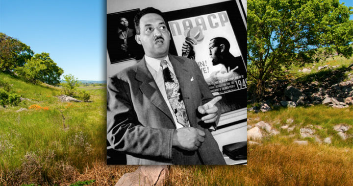 Concord EBRPD park naming honors Civil Rights pioneer Thurgood Marshall