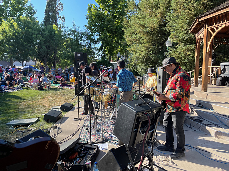 Summer love and harmonies at Clayton's Concerts in The Grove this weekend