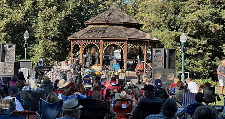 Summer love and harmonies at Clayton's Concerts in The Grove this weekend
