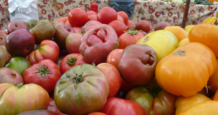 Heirloom fruits and vegetables a link to the past