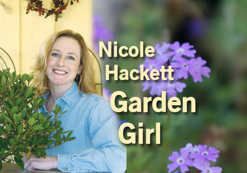 Nicole Hackett, Garden Girl