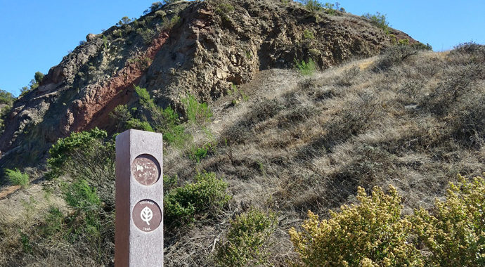 Fall hikes in East Bay Parks include a tidal marsh, volcanic hills, and stargazing