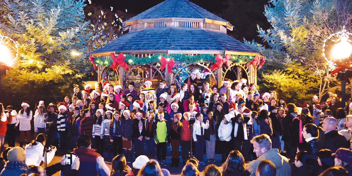 Tree lightings help make the season bright