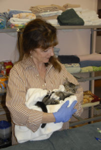 Giving tree donations aid abandoned cats in Clayton