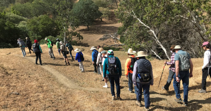 Explore Mt. Diablo with free series of guided hikes, bike rides and climbing events
