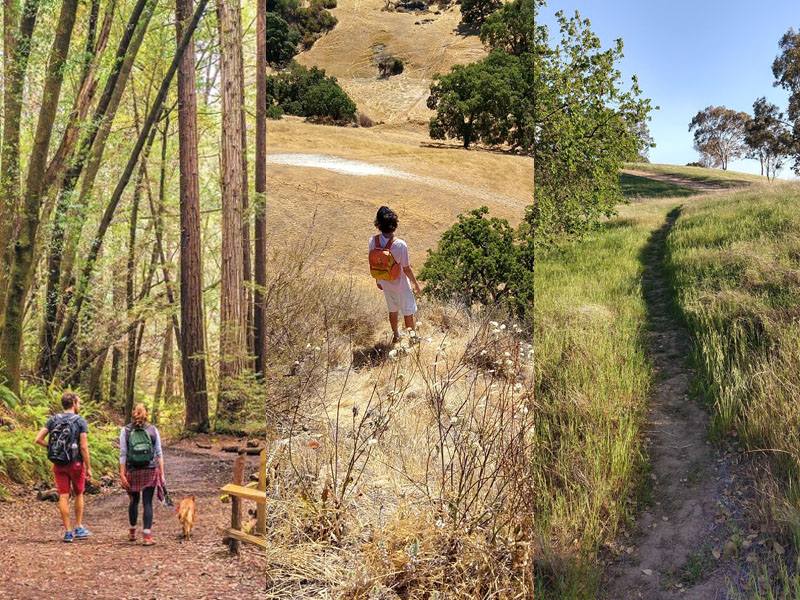 Are you up for the East Bay Parks 2022 Trails Challenge?