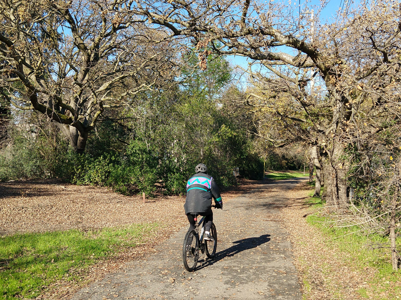 Iron Horse Trail users: watch for tree trimming work starting Jan. 3