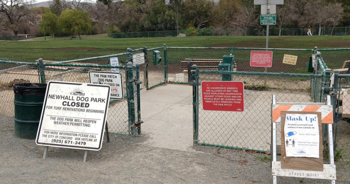 Concord Dog Parks to Close for Maintenance