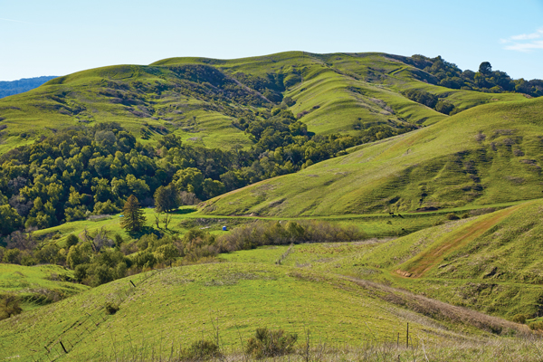 John Muir Land Trust launches effort to preserve scenic Moraga ranch forever