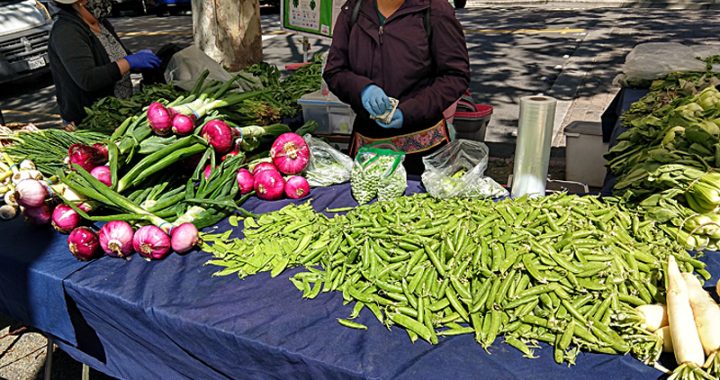 Peas, glorious peas, now starring at the farmers market