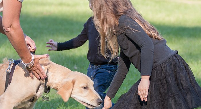Teaching kids proper interactions with dogs