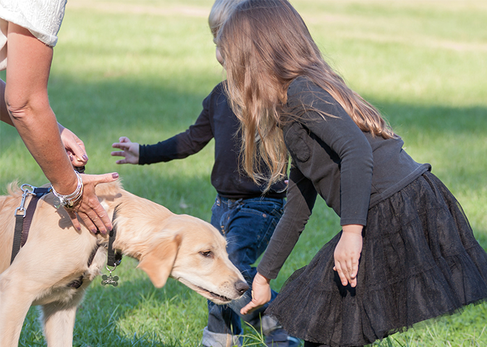 Teaching kids proper interactions with dogs