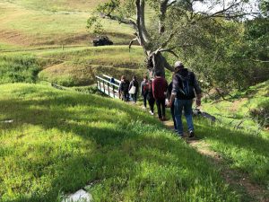 Community groups can now reserve Mangini educational preserve