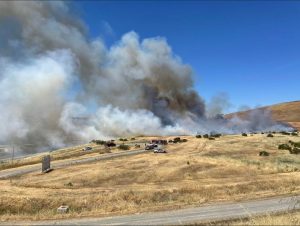 Contra Costa fire fighters halt forward progress of brush fire near Highway 4