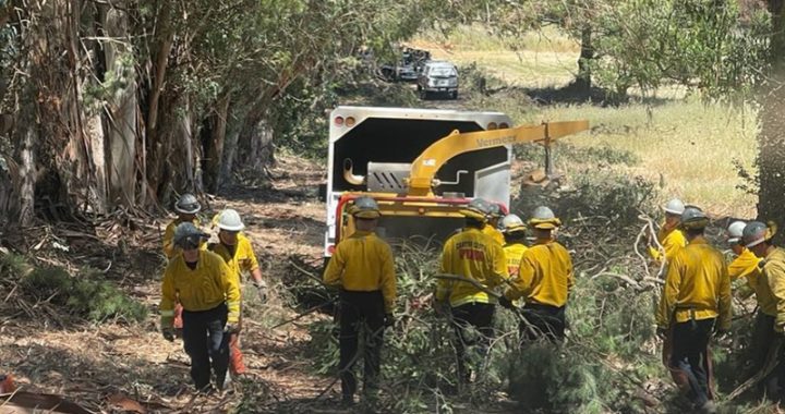 CAL FIRE Hits Peak Staffing for Wildfire this Summer