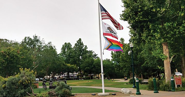 Community effort brings Pride Parade to Clayton