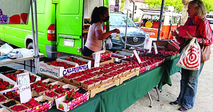 Savor the sweet flavors of summer with fresh berries at Concord Farmers Market