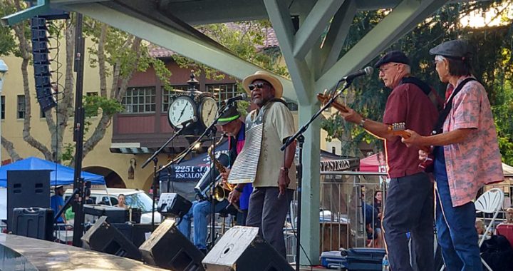 Concord kicks off its summer Music and Market concert series with Gator Nation
