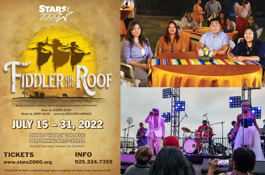 Theatre Under the Stars – Pioneer Playhouse