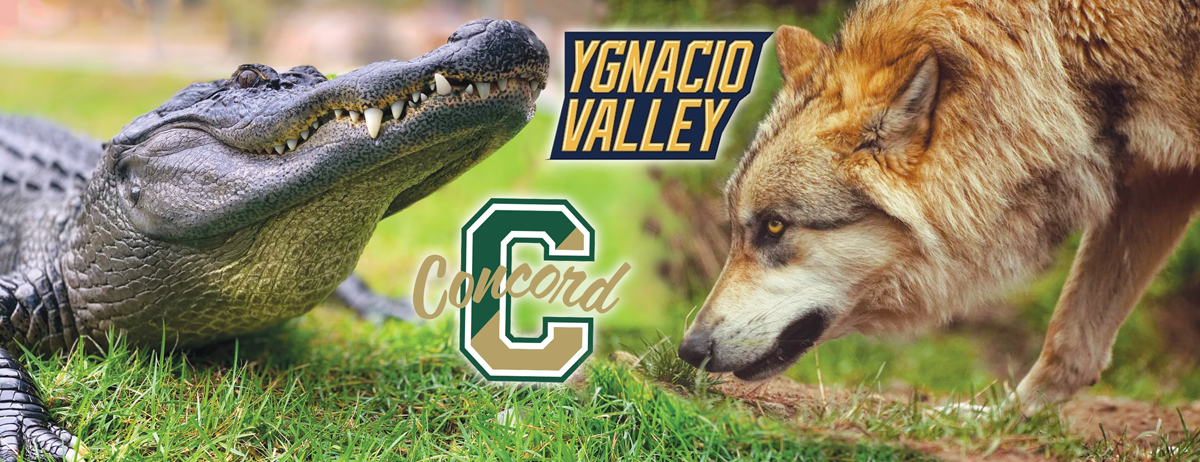 Local high school sports starting and we can’t wait to watch the Crocodiles face the Wolves 