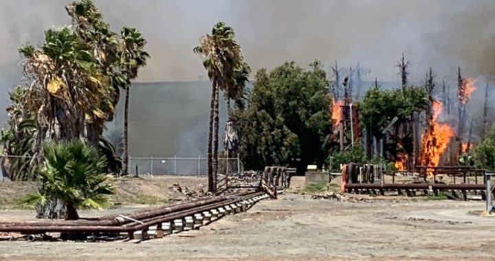 CON FIRE crews fighting Willow Pass Road blaze as palm trees go up in smoke