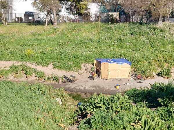 Makeshift Shelter Near Walnut Creek Running Through Concord Pete Cruz Photo