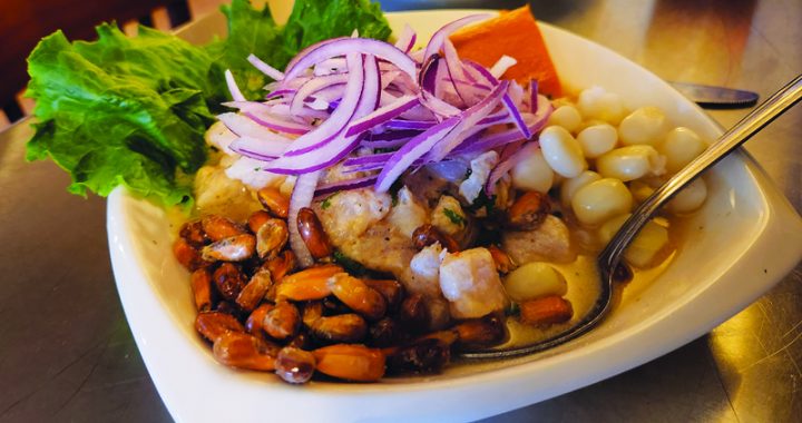 Incas Grill in Concord: home-style Peruvian ­specialties in casual atmosphere