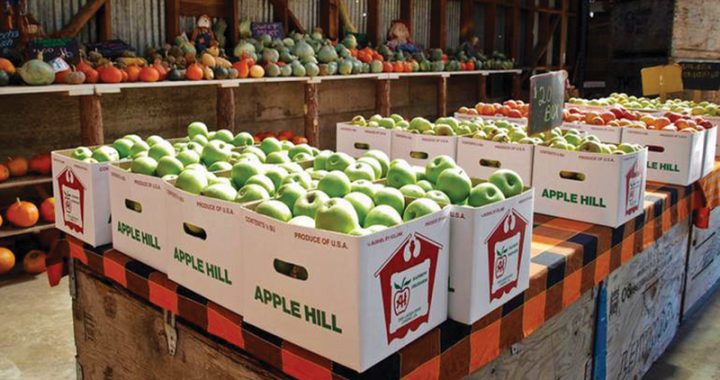 Heirloom apples offer a taste of history at Concord's Farmers Market