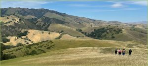 Park District and Save Mount Diablo Partner on Purchase Option for 768-Acre Finley Road Ranch