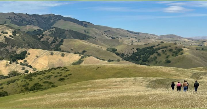 Park District and Save Mount Diablo Partner on Purchase Option for 768-Acre Finley Road Ranch