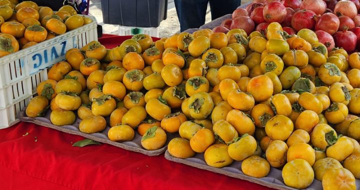 Add the lush flavor of persimmons to your fall menus