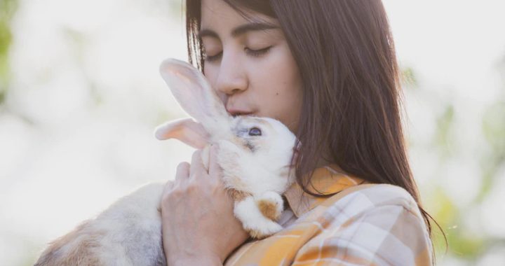 Learning to help socialize the anti-social rabbit
