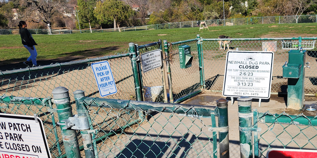 Concord Dog Parks closing for 5 weeks of annual maintenance