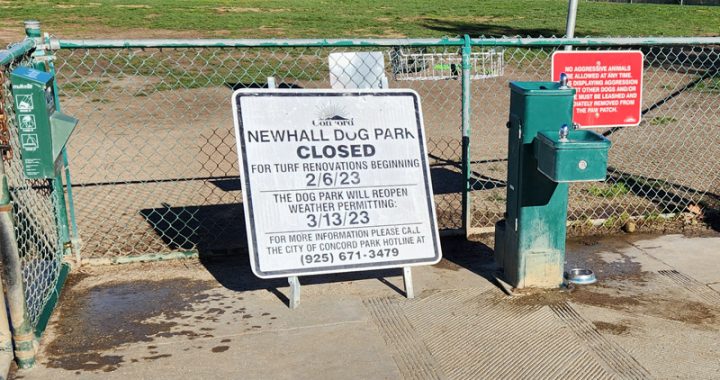 Concord Dog Parks closing for 5 weeks of annual maintenance