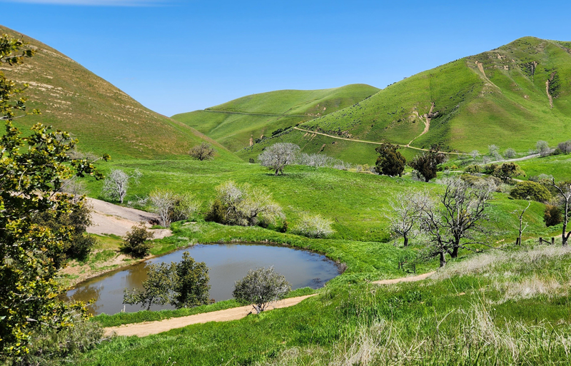 Map-reading clinic, movie night, and Easter on the Farm this weekend at East Bay Parks