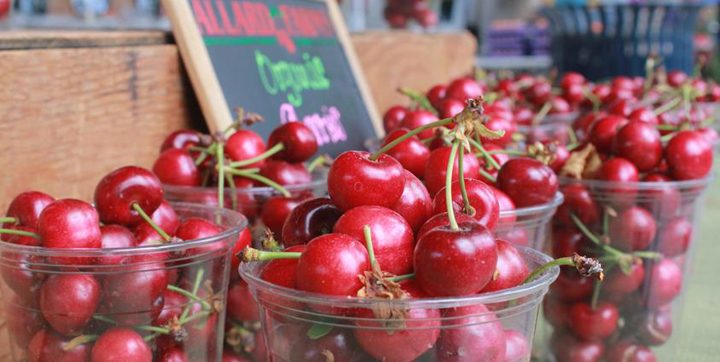 Despite weather delay, cherries are primed for local farmers markets