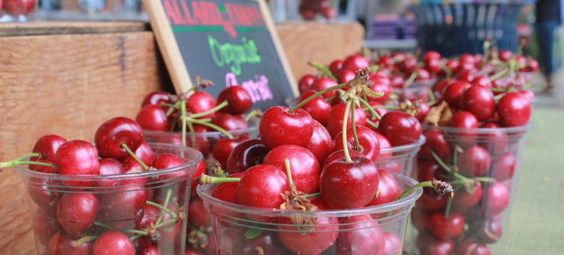 Despite weather delay, cherries are primed for local farmers markets