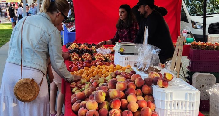 Stone fruit has arrived at the Concord farmers market