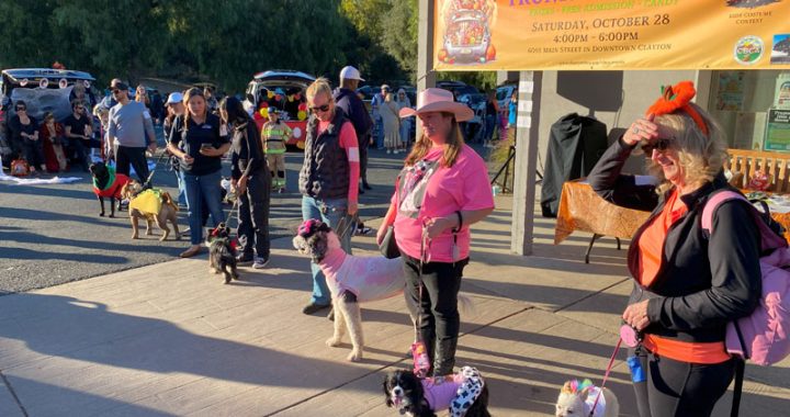 Clayton dog owners unleash their Halloween spirit at Woof-O-Ween costume competition
