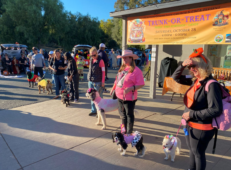 Clayton dog owners unleash their Halloween spirit at Woof-O-Ween costume competition