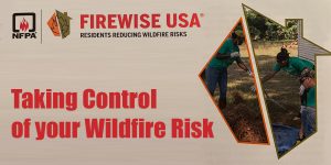 Clayton's Firewise townhall spurs wildfire prevention initiatives