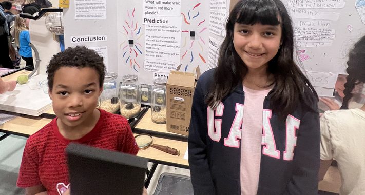 Young scientists take center stage at Mt. Diablo Elementary's STEM Fair