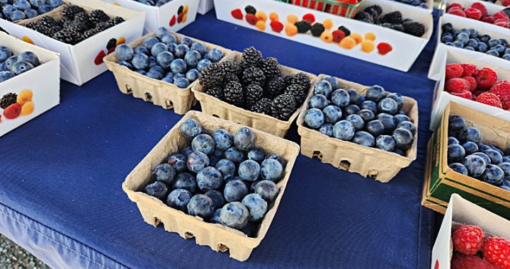 Get ready for a blueberry bonanza at Concord's farmers market