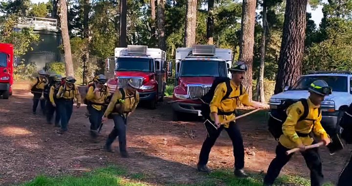 Low-intensity fires will help lessen risk on Mount Diablo