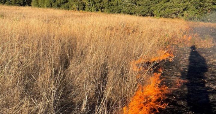 Prescribed burning at Mount Diablo State Park will begin in May