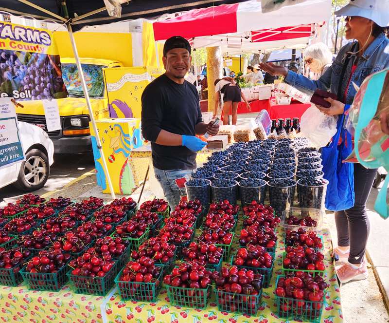 It’s so sweet finding cherries at Concord's farmers market